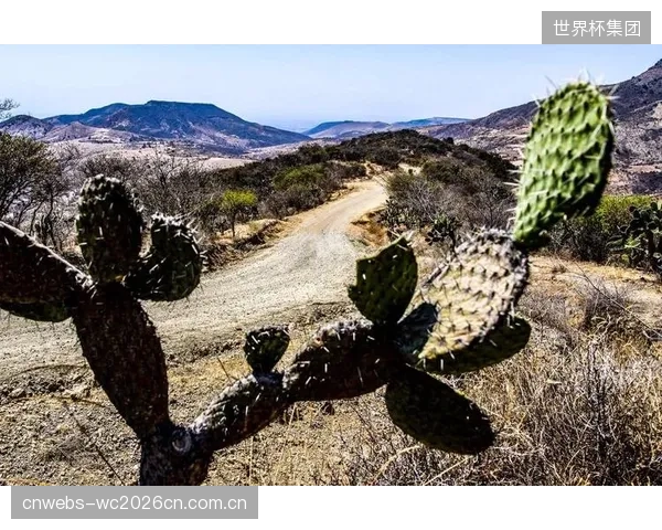 墨西哥队赛程由易到难，若前两轮能顺利全取六分，将为小组出线奠定坚实基础。
